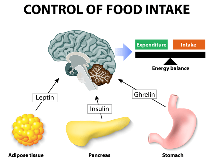 Appetite Management and Control Process