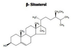 Beta Sitosterol