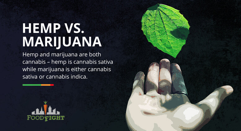 Hemp vs. Marijuana