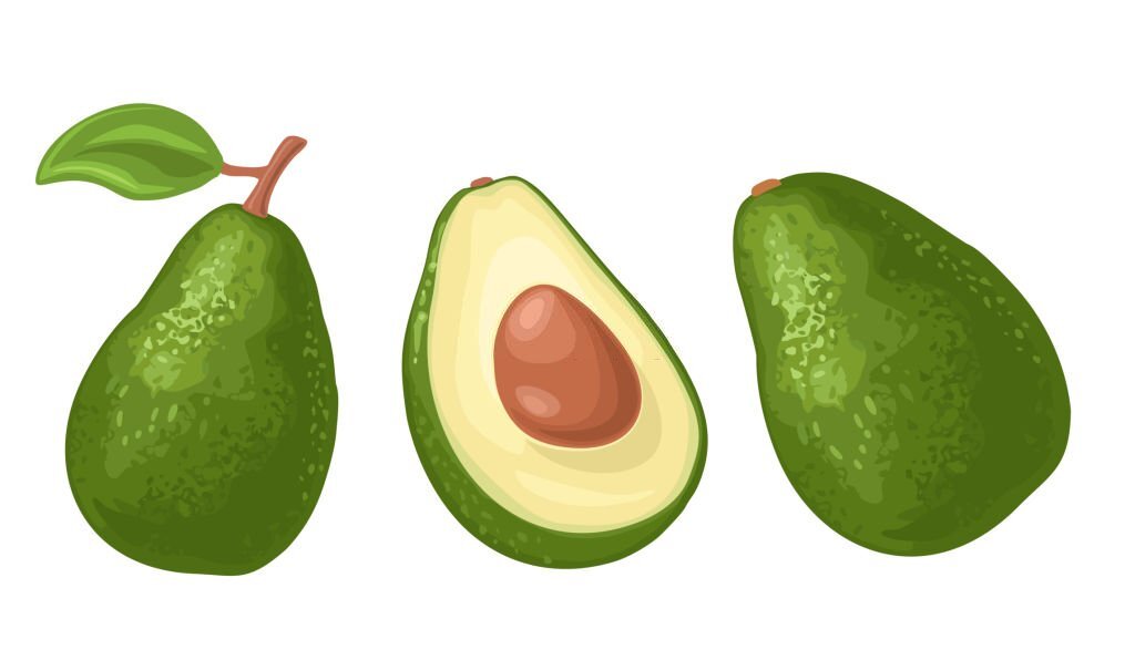 Avocado