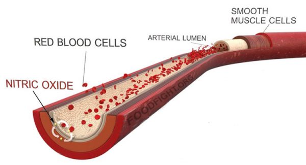 nitric oxide